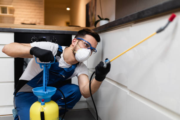 Best Best Pest Control Companies  in Palos Heights, IL