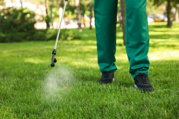 Best Cockroach Control Services  in Palos Heights, IL