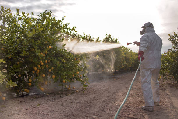 Best Mosquito Control Services  in Palos Heights, IL
