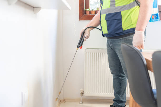 Wasp Removal Services in Palos Heights, IL