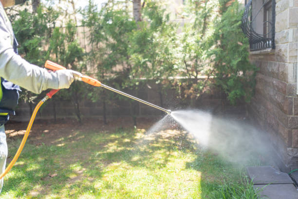 Best Wasp Removal Services  in Palos Heights, IL