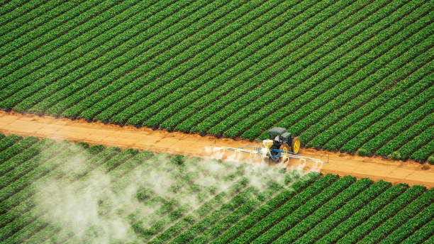 Best Pest Removal Services  in Palos Heights, IL