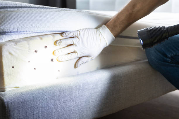 Best Exterminator Services  in Palos Heights, IL