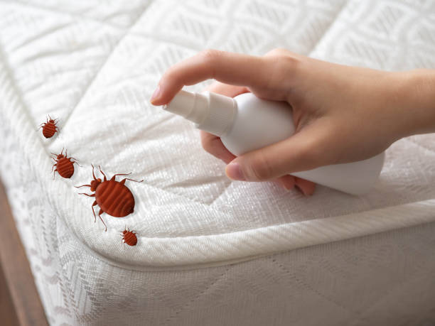 Best Emergency Pest Control  in Palos Heights, IL