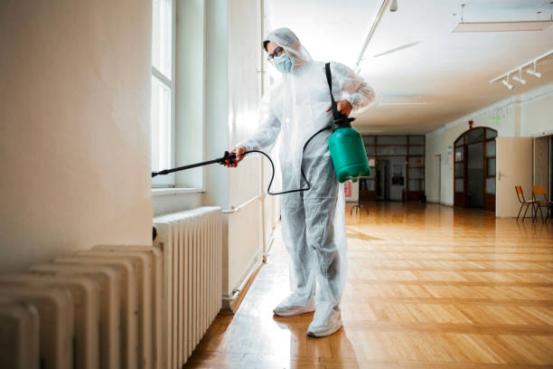 Best Termite Control Services  in Palos Heights, IL