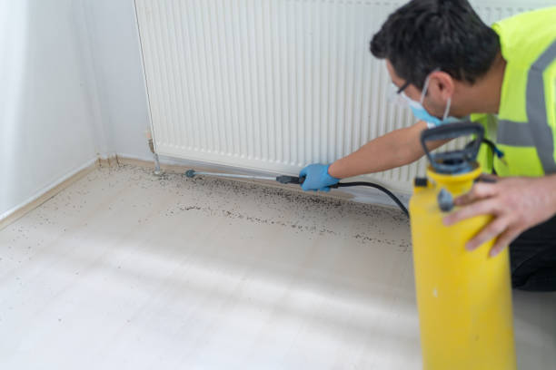 Best Pest Control for Restaurants  in Palos Heights, IL